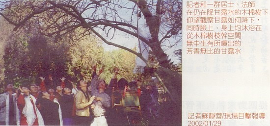 天降奇迹 烈日当空无滴雨 木棉树降香雨能听话