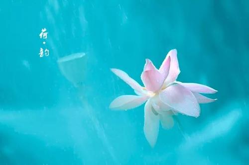 我们要学的不是凡夫习性