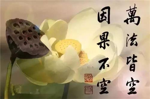 是谁，偷走了你的睡眠，盗走了你的好梦？