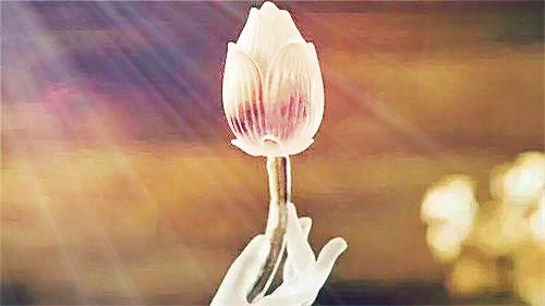 一旦拥有这样的人生软实力，你千万别放手