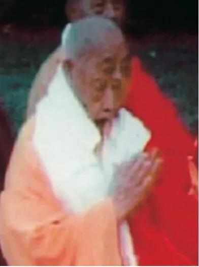 《揭开真相》（二十） 一书入寺木棉惊　神奇难测功绝顶