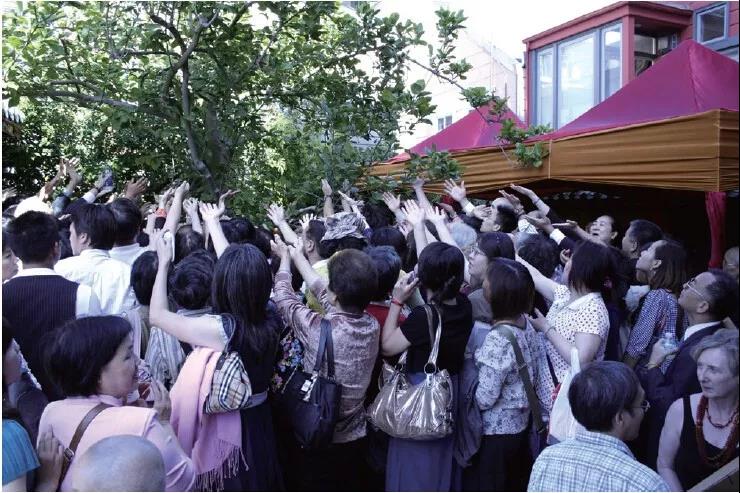 《揭开真相》（二十） 一书入寺木棉惊　神奇难测功绝顶