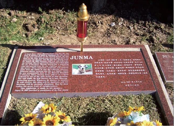 《揭开真相》（九）俊马永别