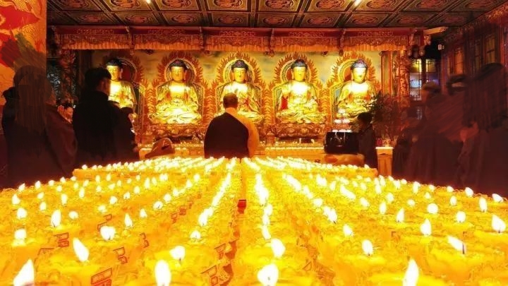 他们甘愿深受其害的原因是什么?
