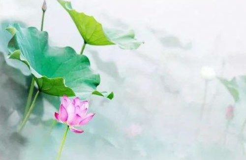 念珠有没有去向南无观世音菩萨报告有什么关系呢？