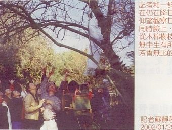 天降奇迹 烈日当空无滴雨 木棉树降香雨能听话