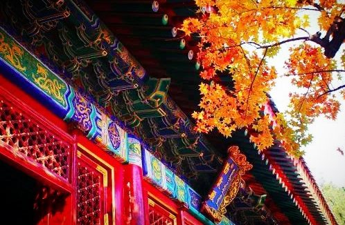 明信因果,收获不一样的人生