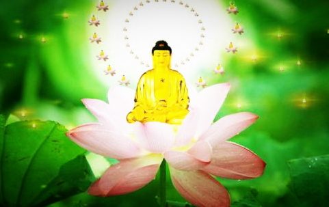 一位女士的堕胎经历及深彻忏悔