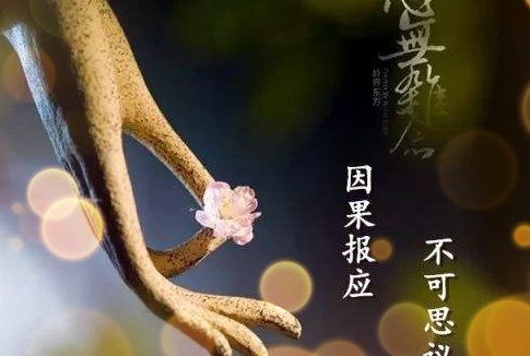 一位开火锅店女老板的忏悔