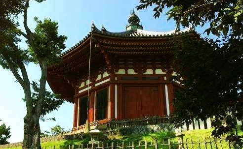 杀蛇之后厄运灾难不断