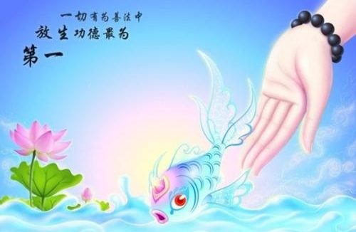 放生功德殊胜行