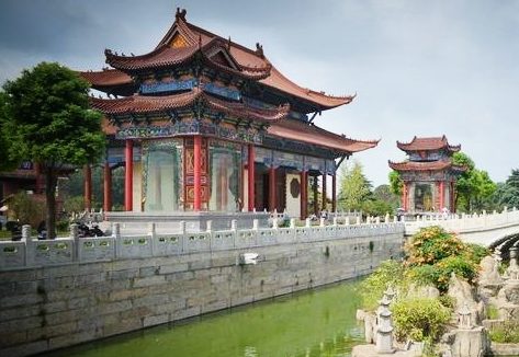 放生吃素治好了我的忧郁症和社交恐惧症
