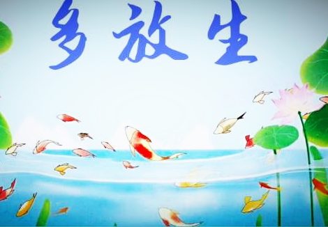 放生改变了我