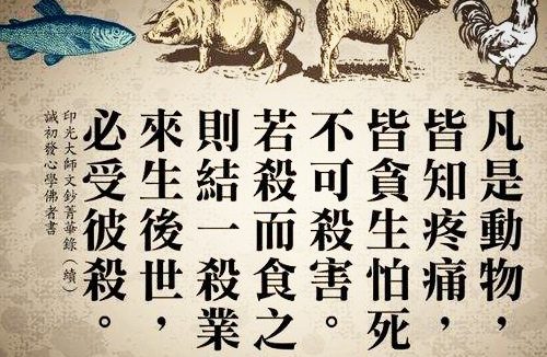 二十载光阴假修行,得遇佛法开示走出不杀生的误区