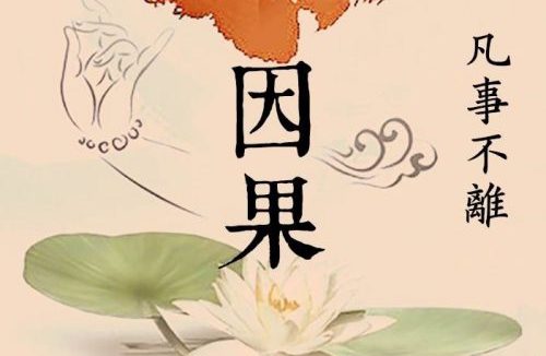 老妇人对阿难尊者言听计从，而对佛陀却一屑不顾，何故？