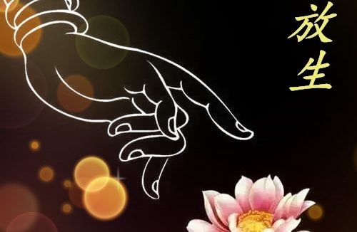 积爱成福