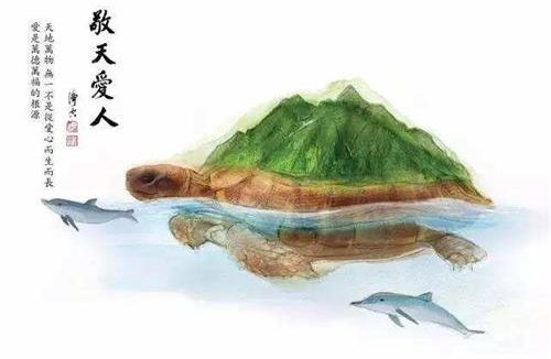 经历黑色星期日的甲鱼:我也是一条鲜活的生命!