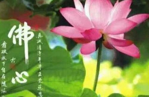 人生考验之际，遵循本有的善良吧
