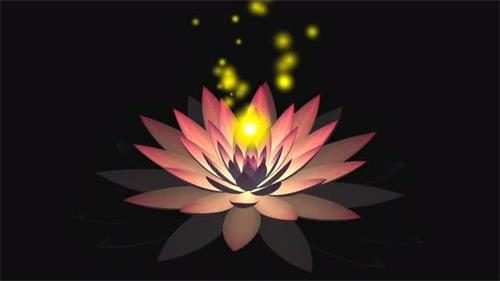 万般苦难皆有因果