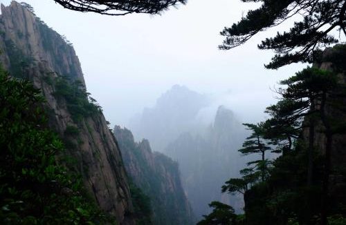 我身边有位“毫不利己，专门利人”的人，你信不信？