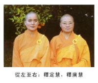 淹死的蜜蜂长起翅膀飞走了