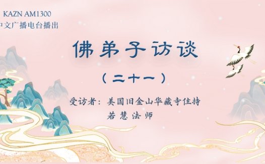 佛弟子访谈（二十一）：佛教的金刚法曼择决法择出南无羌佛是佛陀真身的真实情况