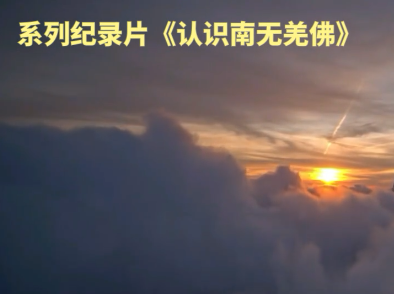 认识南无羌佛（第八集）
