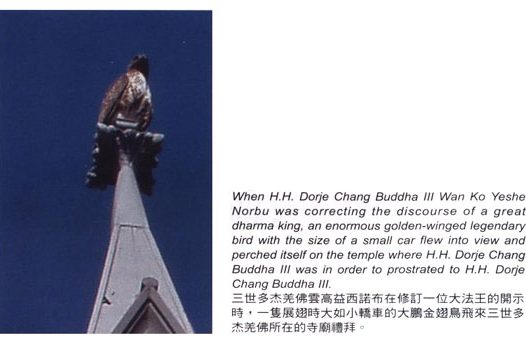 大鹏金翅鸟礼拜