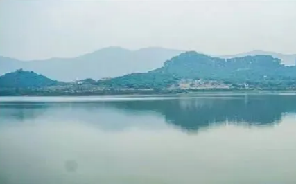 放生见蛇跳舞后，我的生活从此改变